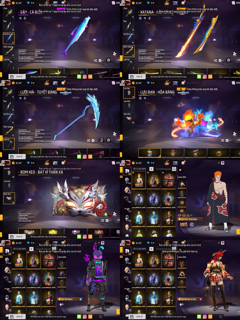 Ảnh thu nhỏ 11