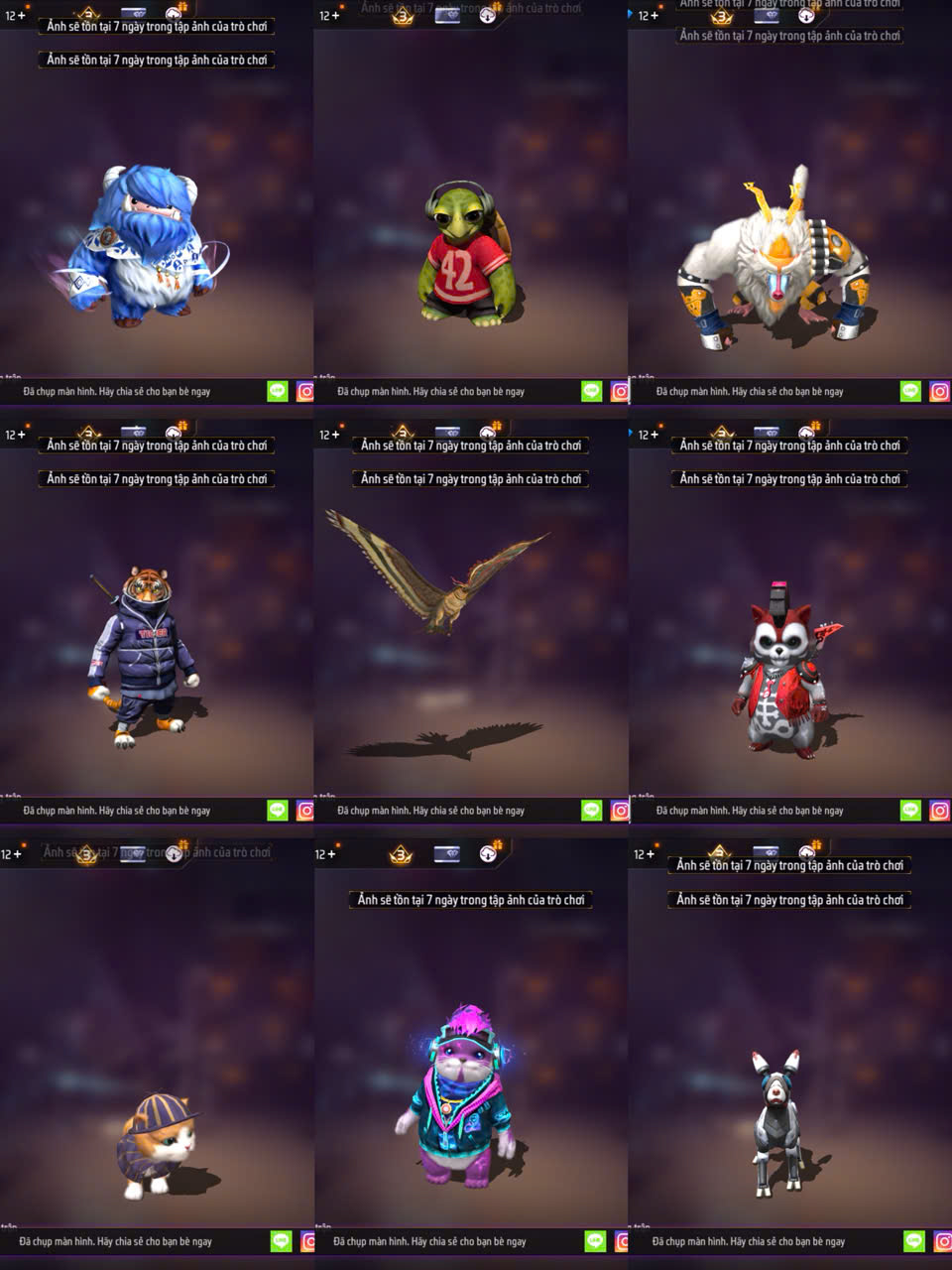 Ảnh thu nhỏ 20
