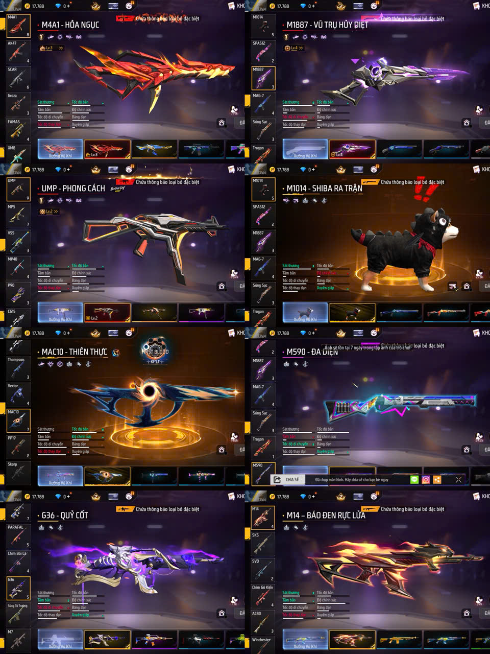 Ảnh thu nhỏ 3